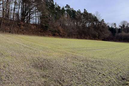 Grundstück in Pfeffenhausen Oberlauterbach 136.260,00 € 7570 m² - Pfeffenhausen / Oberlauterbach