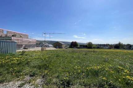 Grundstück zu verkaufen in Morbach 47.000,00 € 529 m²