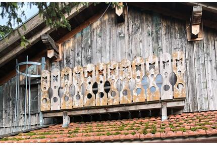 Gemütliche. 3 Zimmerwohnung mit Veranda und Balkon - Massing