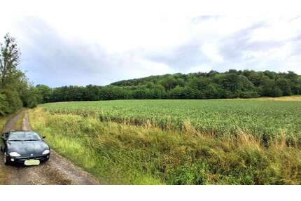 Grundstück in Hagen 129.000,00 € 30900 m²