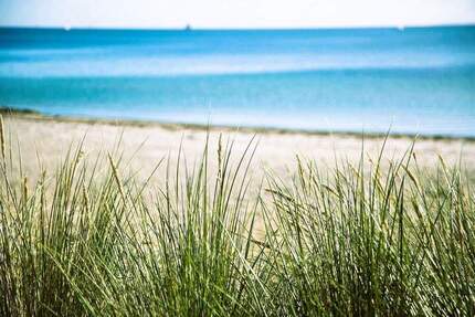Einmalige Gelegenheit mit eigenem Wald! - Nordwestmecklenburg - Landkreis - Dassow Kaltenhof