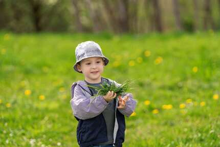 Haus zum Kaufen in Pulsnitz 299.500,00 € 131 m²