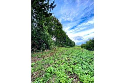 Gartengrundstück - 55,00&nbsp;EUR Kaltmiete, ca.&nbsp; 0,00&nbsp;m&sup2; in Lahr (Schwarzwald) (PLZ: 77933)