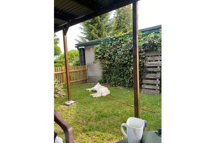 Garten abzugeben - 500,00&nbsp;EUR Kaltmiete, ca.&nbsp; 0,00&nbsp;m&sup2; in Eisleben (Lutherstadt) (PLZ: 06295)