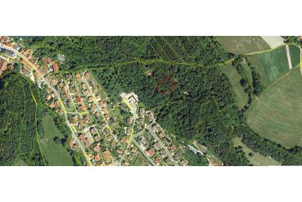 Waldgrundstück 1.499 m² in Häfnersberg (Goldkronach) – VB 3.800€ - Berlin Pankow