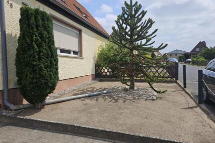 Doppelhaushälfte mit großem Grundstück in Grüneberg - Löwenberger Land