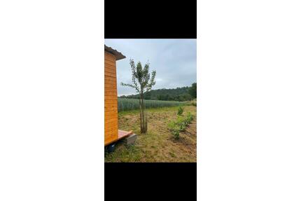 Garten Freizeit Grundstück in Remseck am Neckar - Stuttgart Neuwirtshaus