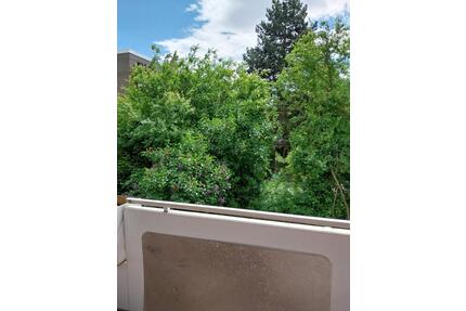 Klein, aber fein, schön renoviert, Balkon, von privat - Braunschweig Westliches Ringgebiet