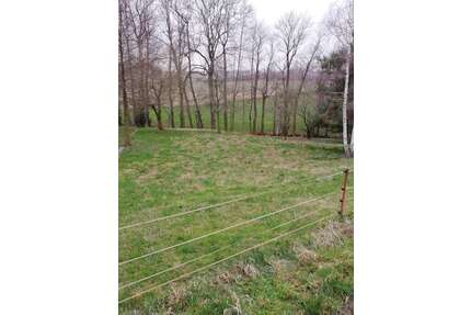 Grundstück zu verkaufen in Mügeln 58.000,00 € 1055 m²