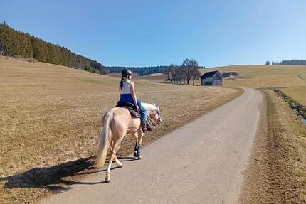 Ferienwohnung Bauernhof; Pferdehof, Bodensee, Hunde willkommen - Blumberg