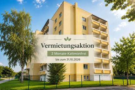 Wohnung zum Mieten in Rötha 375,00 € 56 m²