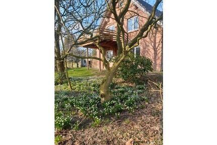 Mietwohnung !!!!!ANFRAGESTOPP!!!!!! - Groß Wittensee