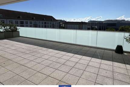 Wohnung zum Mieten in Dresden 2.260,00 € 165.89 m²