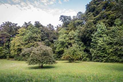 Grundstück zu verkaufen in Wandlitz 240.000,00 € 619 m²