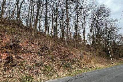 Bauplatz in Unterebersbach, OT - 42.000,00&nbsp;EUR Kaufpreis, ca.&nbsp; 0,00&nbsp;m&sup2; in Niederlauer (PLZ: 97618) Unterebersbach