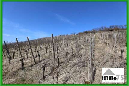 Grundstück zu verkaufen in Mühlacker 9.500,00 € 1800 m²