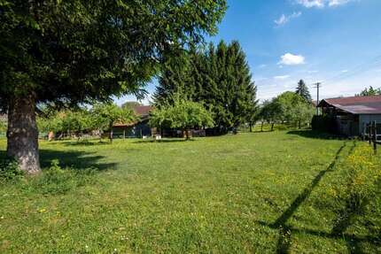 Grundstück zu verkaufen in Horgenzell 198.000,00 € 917 m²