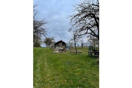 Streuobstwiese, Stückle, Freizeitgrundstück mit vielen Obstbäumen - Erligheim