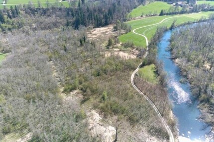 Auwald in der Vogtareuther Au - 49.000,00&nbsp;EUR Kaufpreis, ca.&nbsp; 8.635,00&nbsp;m&sup2; in Vogtareuth (PLZ: 83569)