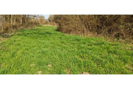 1000 m² Gemüsegarten pachten – Nähe Saarbrücken Saarlouis | - Rehlingen-Siersburg