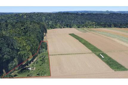 Schönes Freizeitgrundstück mit Holzhütte, tolle Waldrandlage,... - Schorndorf