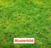 Grundstück zu verkaufen in Frankfurt 899.000,00 € 908 m²