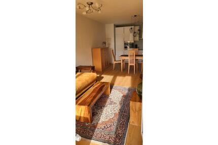 Möblierte barrierefreie 2 Zimmer Wohnung in Feyen zu vermieten - Trier Kürenz