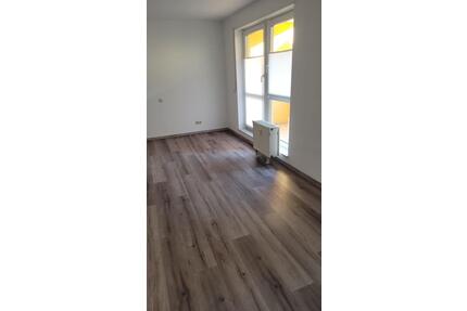 Renovierte 1 Zi Whg. Nähe Uni Mannheim - Ludwigshafen am Rhein Parkinsel