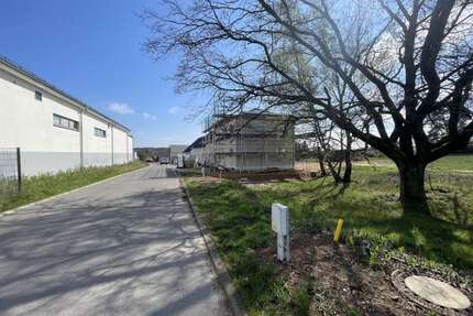 Grundstück zu verkaufen in Ottendorf-Okrilla 149.500,00 € 618.01 m²