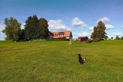 Einmaliges Doppelhaus inmitten des Naturschutzes - Rötenbach