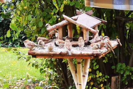 Haus zum Kaufen in Bahretal 455.332,00 € 143 m²