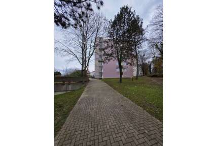 Wohnung zum Kaufen in Umkirch 320.000,00 € 81 m²