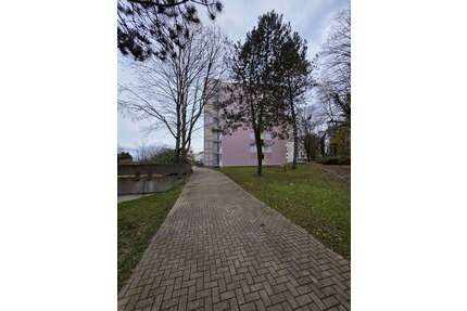 Wohnung zum Kaufen in Umkirch 340.000,00 € 81 m²