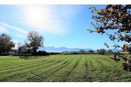 Großzügiges 1-Zimmer-Neubau-Apartment 47 m² Willing, Bad Aibling