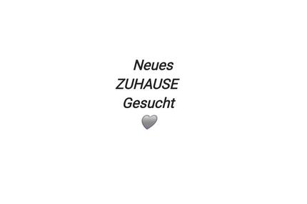 Wohnunsgesuch 2 bis 3 Zimmer in Emmendingen