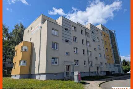 Wohnung zum Mieten in Gera 244,00 € 35 m²