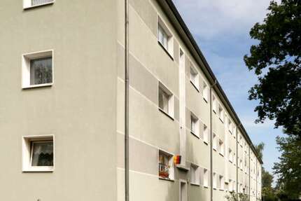 Wohnung zum Mieten in Weißenfels 310,80 € 51.8 m²
