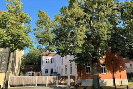 Wohnung zum Kaufen in Potsdam 190.000,00 € 36.95 m²