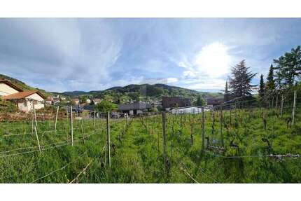 Grundstück zu verkaufen in Bühlertal 294.000,00 € 770 m²