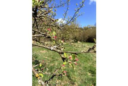 Grundstück zu verkaufen in Biesenthal 98.000,00 € 4340 m²