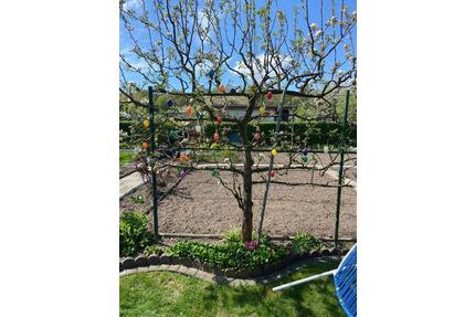 Kleingarten Timmerlah Busch - 5.000,00&nbsp;EUR Kaltmiete, ca.&nbsp; 0,00&nbsp;m&sup2; in Vechelde (PLZ: 38159)