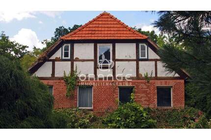 ***charmantes Bauernhaus mit Stall, Scheune und Weide*** - Karrenzin
