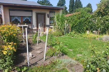 Gepflegter Kleingarten abzugeben - Leipzig Nordost