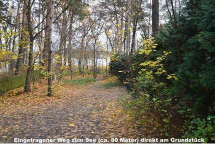 Haus zum Kaufen in Bad Saarow 439.000,00 € 87 m²