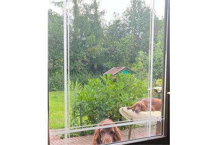 Freihstehendes Einfamilienhaus in Eversten Oldenburg