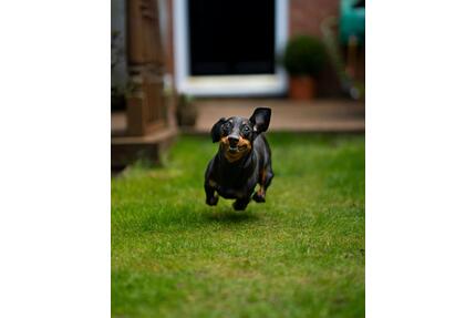 Ohne Eigenkapital möglich. Mietkaufimmobilie abzugeben. - Hasbergen