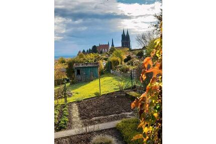 Idyllischer Schrebergarten in Kleingartenanlage mit Elbtalblick - Meißen