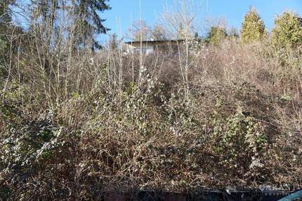 Träumen Sie nicht länger von Ihrem Traumhaus - bauen Sie es jetzt in Horb am Neckar!