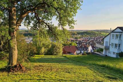 Grundstück zu verkaufen in Reichenbach 249.000,00 € 553 m²