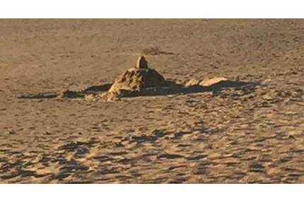 Baulücke - 89.000,00&nbsp;EUR Kaufpreis, ca.&nbsp; 0,00&nbsp;m&sup2; in Stemwede (PLZ: 32351) Levern